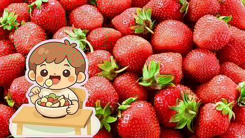 strawberry fruits