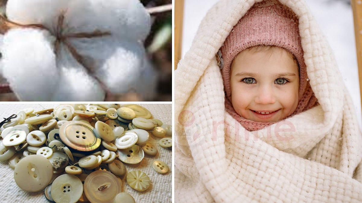 உலகம் வியக்கும் 'மேட் இன் இந்தியா' வரலாறு… நமக்குத் தெரியாத இந்தியாவின் 'மாஸ்' ஹிஸ்டரி!