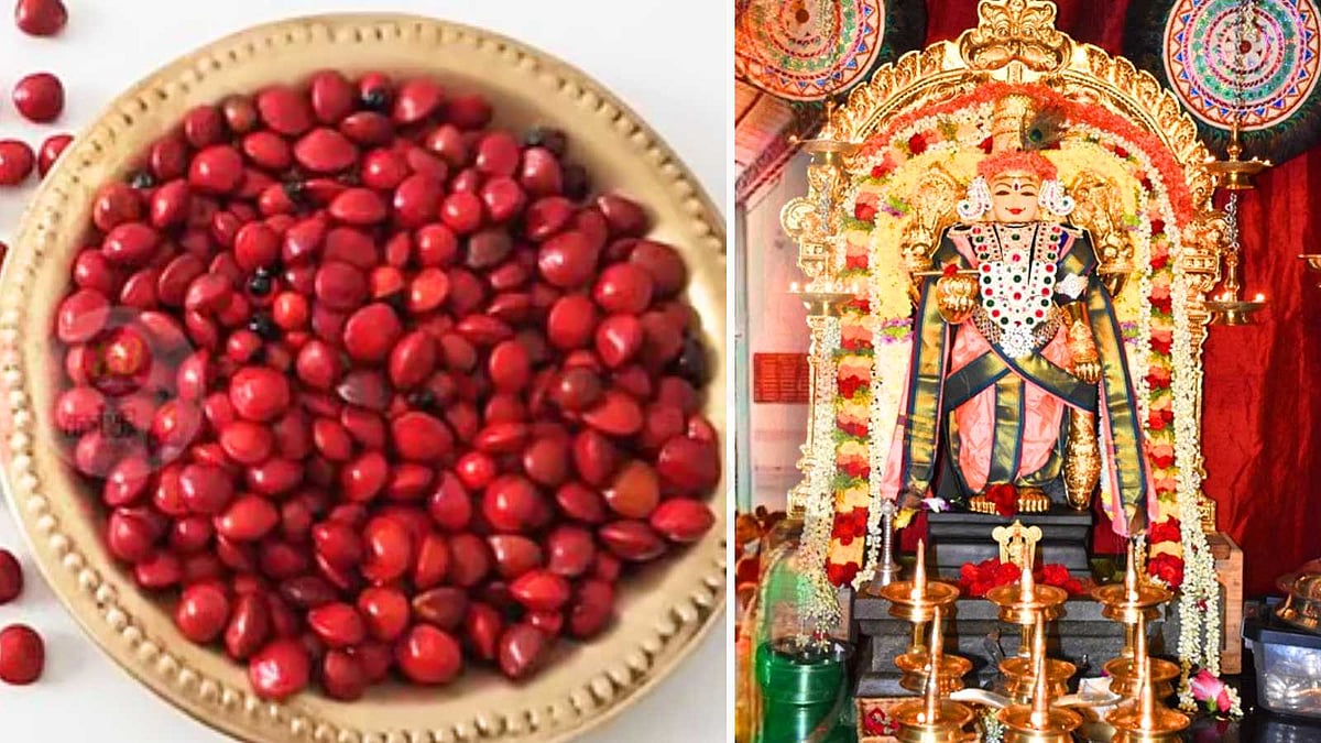 குருவாயூரப்பன் முன் ஏன் குன்றிமணி உருளி இருக்கிறது தெரியுமா?