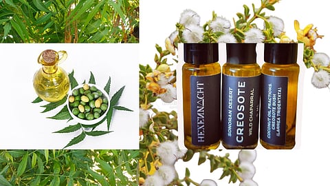 Natural neem oil to repel insects