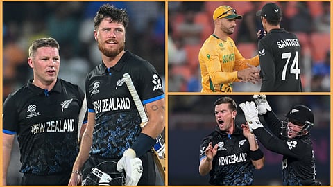 Newzland enter into the final