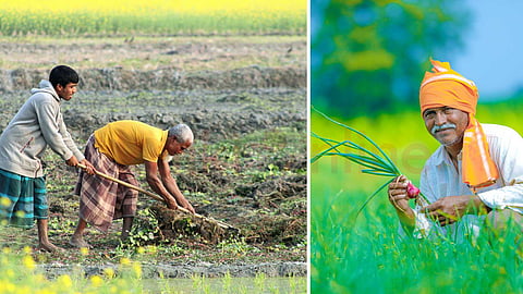 importance-of-agriculture