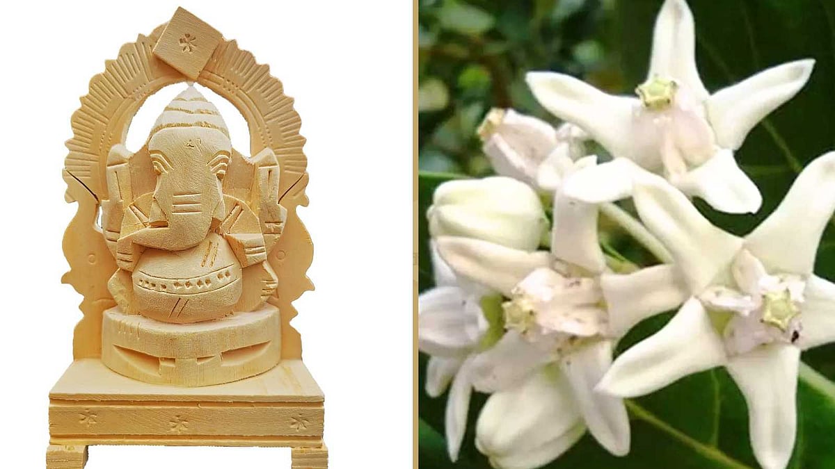 தீய சக்திகளை விரட்டி வெற்றியைத் தரும் வெள்ளெருக்கு விநாயகர்!