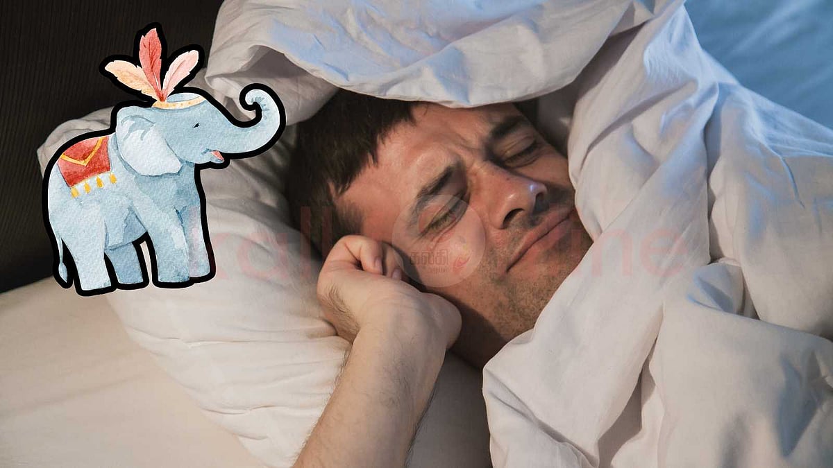 யானை கனவில் வந்தால் அதிர்ஷ்டம் உங்கள் கதவைத் தட்டும்! 10 ரகசிய பலன்கள்!