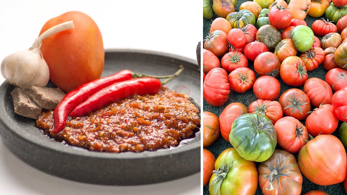 இட்லி, சப்பாத்திக்கு அட்டகாசமான காம்பினேஷன்: தக்காளிக்காய் தாளிதக்கறி செய்வது எப்படி?