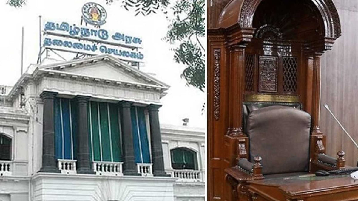 இந்த நாற்காலிக்கு 104 வயசு ஆகுதுன்னு சொன்னா நம்புவீங்களா? இதுக்குள்ள என்னென்ன இருக்கு பாருங்க!