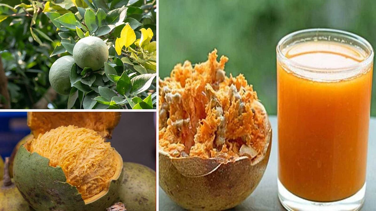 கோடை வெயிலைச் சமாளிக்க… அல்சர் முதல் சளி வரை விரட்டும் 'அதிசய ஜூஸ்' ரெசிபிகள்!