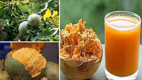 
'Miracle Juice' Recipes!