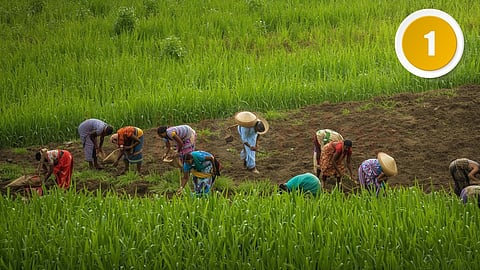 Ammavin Kalluthodu - Farmers