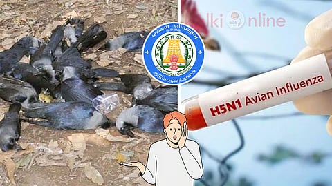 Dept of Health TN and Avian flu