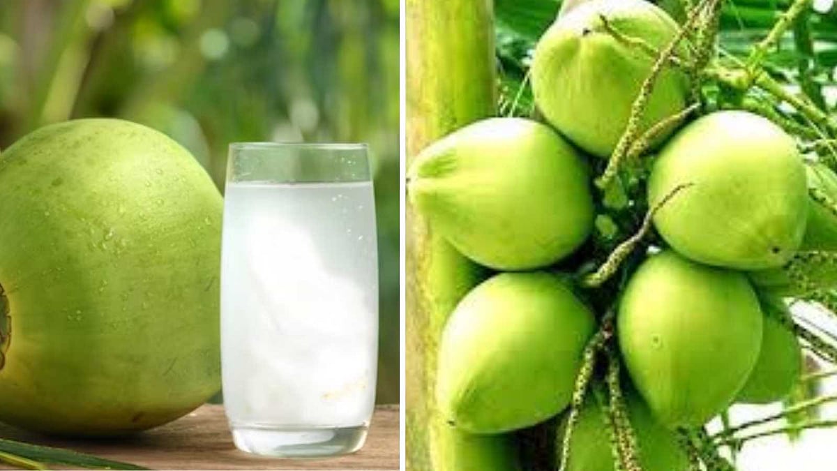 இளநீர் வாங்கும்போது இதெல்லாம் கவனிக்காம வாங்காதீங்க!