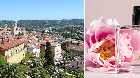 A paradise of aromas