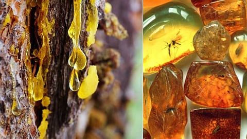 amber stone benefits