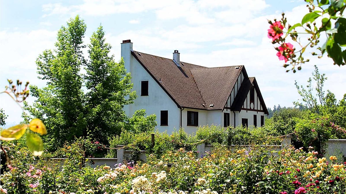 ஏசி தேவையில்லை.. கரண்ட் பில் கவலையில்லை! கோடையிலும் வீட்டை 'ஜில்' என்று மாற்ற எளிய வழிகள்!