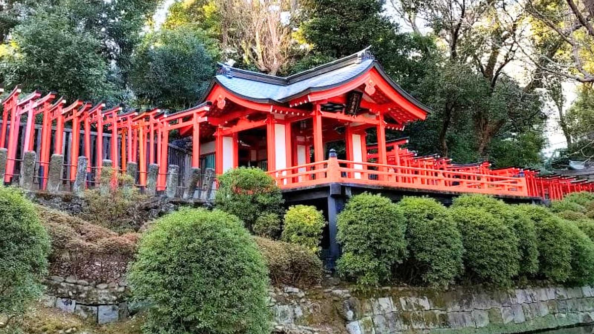 பூக்களால் போர்த்தப்பட்ட பூமி! ஜப்பான் முதல் இங்கிலாந்து வரை... கண்கவர் மலர் திருவிழாக்கள்!