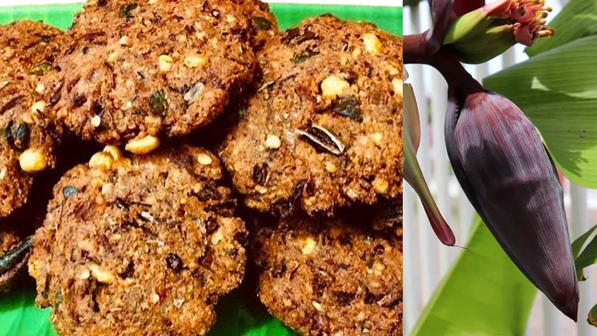 குழந்தைகள் விரும்பி உண்ணும் மொறுமொறு வாழைப்பூ வடை - நீங்களும் ட்ரை பண்ணுங்க!