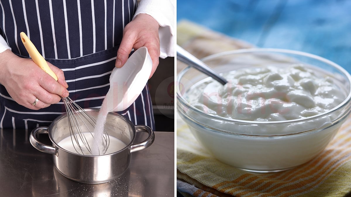 தயிரில் சர்க்கரை போட்டு சாப்பிடுவது எதற்காக? 