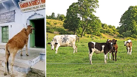 spiritual-significance-