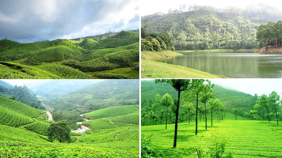 கடவுளின் சொந்த தேசத்தில் 