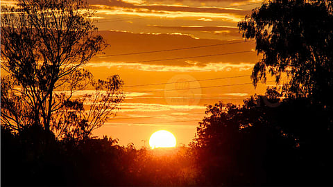 ancient-scientific-wisdom