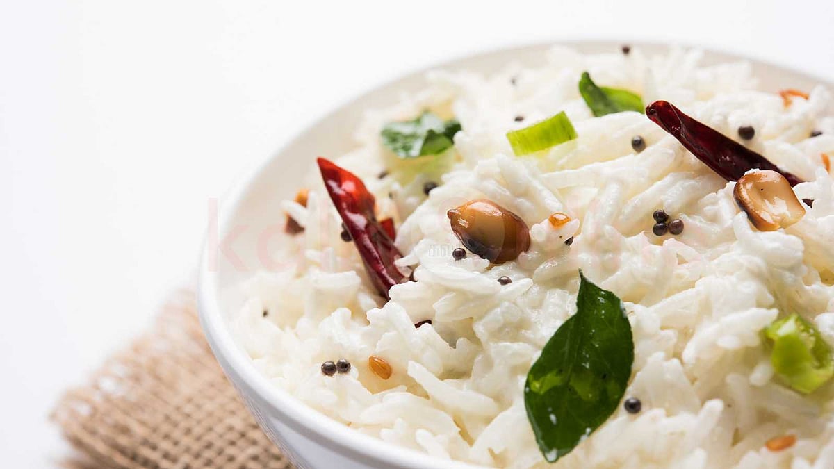 வீட்டில் செய்யும் தயிர் சாதம் ஏன் கோவில் சுவையில் இருப்பதில்லை? இதோ அந்த 'சீக்ரெட்' டிப்ஸ்!