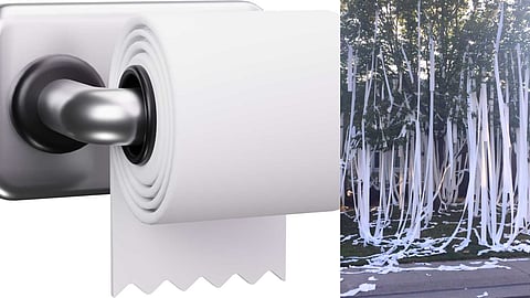 toilet-paper-production