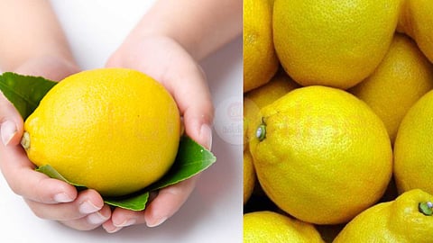 spiritual-secrets-of-lemon