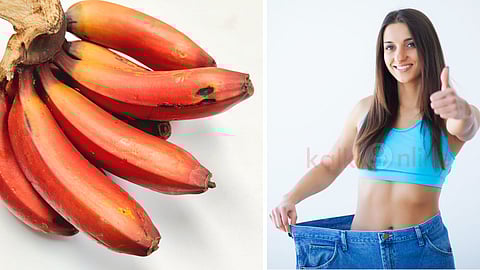 Red banana and Weight loss