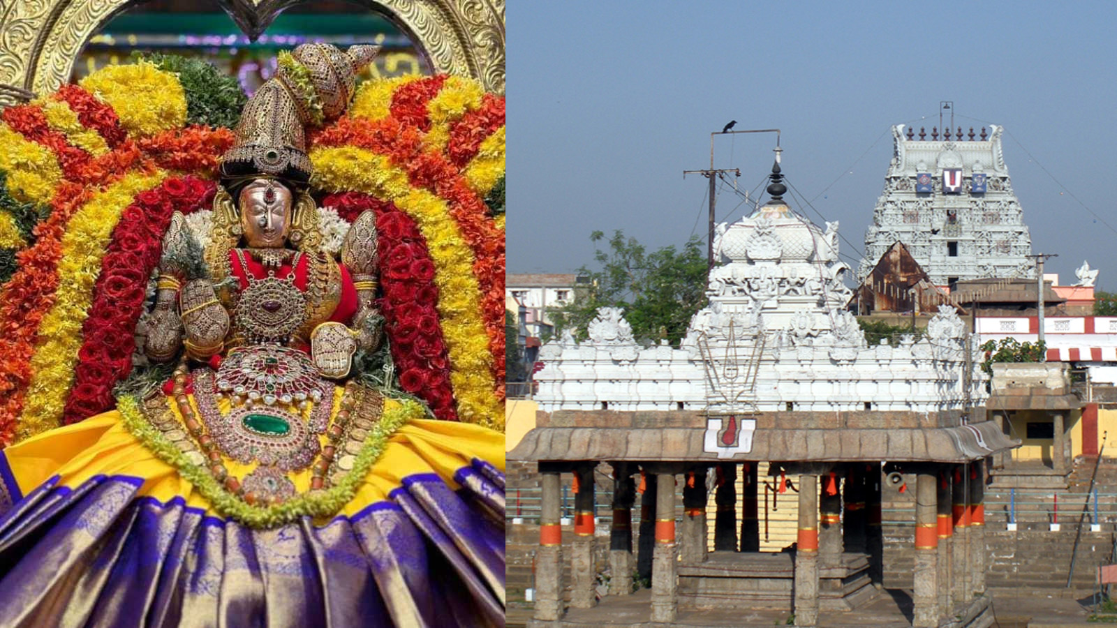 tiruchanur padmavathi and thiruvallikeni parthasarathy temple