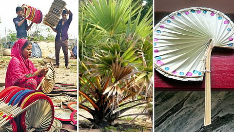 palm-leaf-hand-fans
