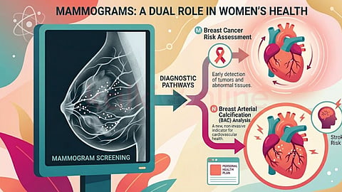 mammogram