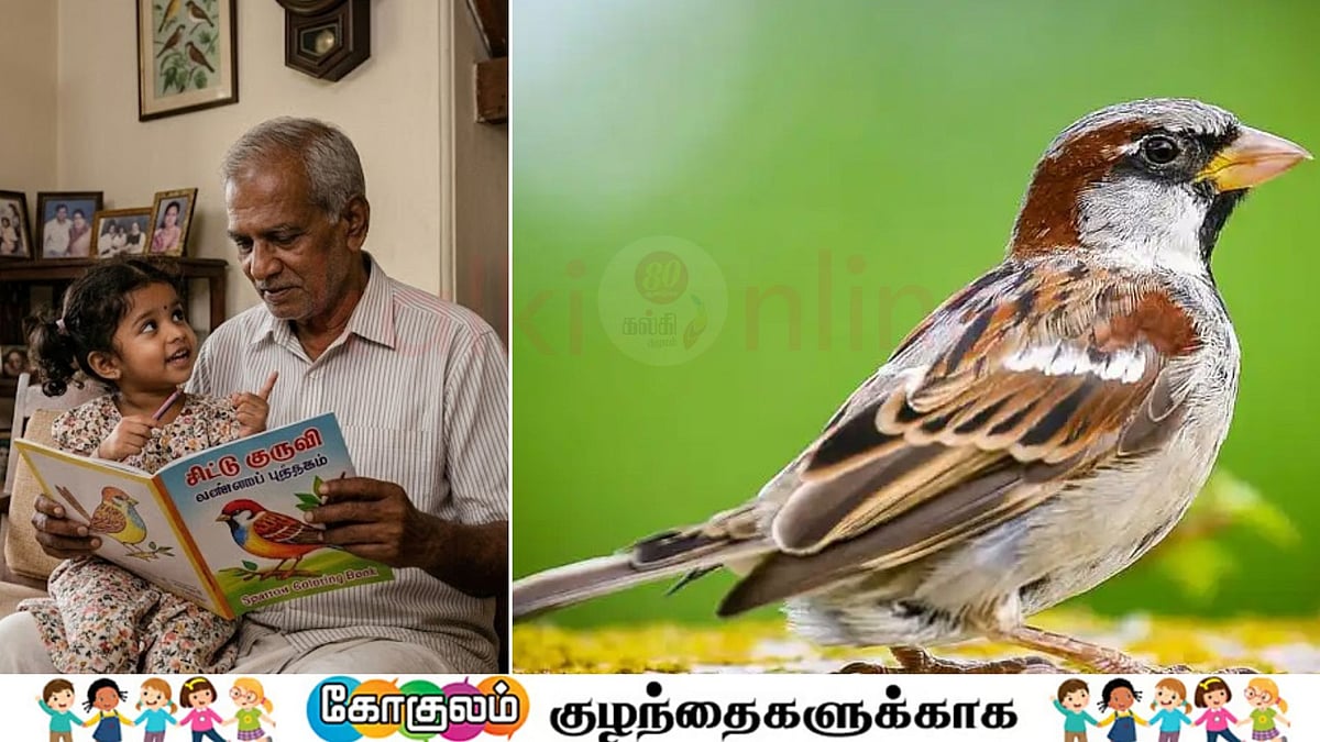 விட்டு பிரிந்து போன குருவி வீடு திரும்புமா? 