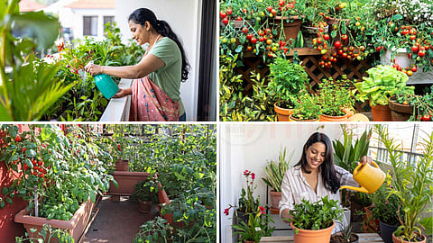 balcony-gardening-
