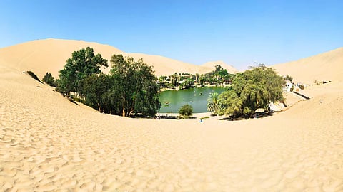 desert-oasis