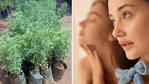 traditional-beauty-secrets