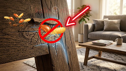 Termite control