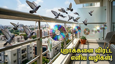 Natural pigeon repellent ideas