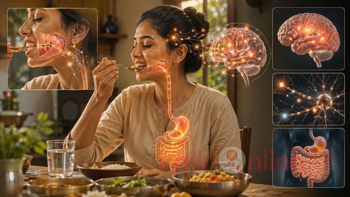 நொறுங்கத் தின்றால் நூறு வயது மட்டுமில்லை... மூளையும் சூப்பர் பாஸ்ட்டா வேலை செய்யும்!