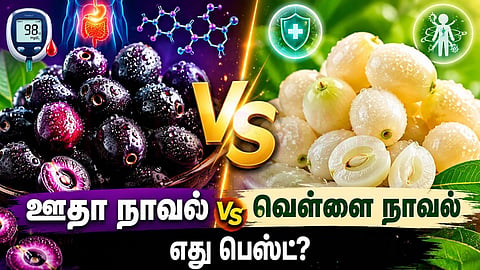 Purple Jamun Vs White Jamun
