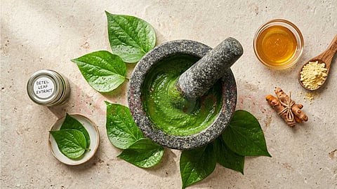 Betel leaf benefits for skin