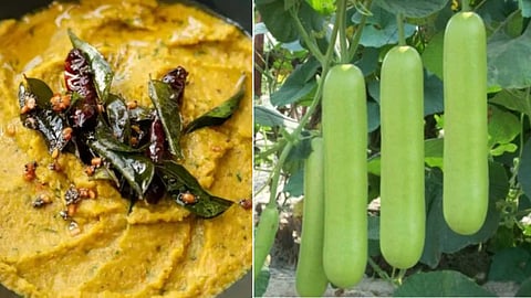 bottle gourd recipe