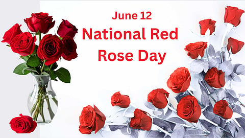 Red Rose Day