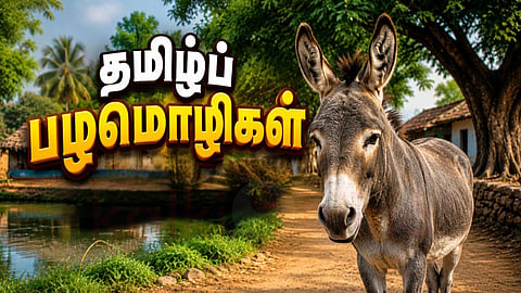 Tamil proverbs about donkey