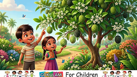 Manjanathi Tree