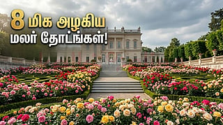 Flower garden | மலர் தோட்டங்கள்