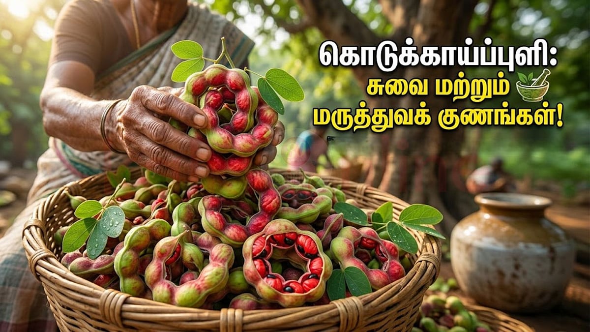 கொடுக்காய்ப்புளி: ஆப்பிளுக்கு இணையான சத்து! மறக்கப்பட்ட அதிசயக் கனி! 