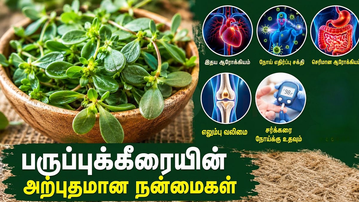 களைச்செடி என்று அலட்சியம் செய்யாதீர்கள்! பருப்புக்கீரையில் இவ்வளவு நன்மைகளா?