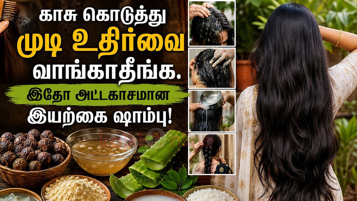 காசு கொடுத்து முடி உதிர்வை வாங்காதீங்க. இதோ அட்டகாசமான இயற்கை ஷாம்பு!