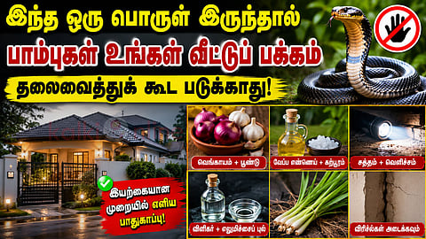 Natural snake control பாம்பு தொல்லை
