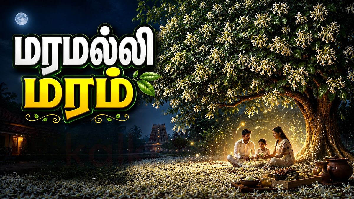 மரமல்லி: உங்கள் வீட்டை சுபிட்சமாக்கும் மணம் வீசும் தெய்வீக மரம்!